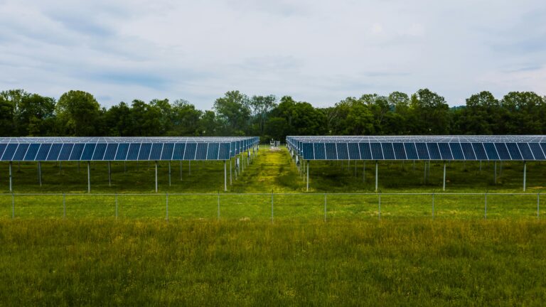 Modern photovoltaic solar energy station in lush countryside | Photo by Kelly