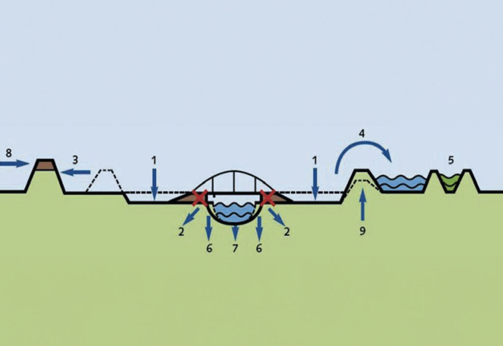 This image has an empty alt attribute; its file name is Body-Resize_H-econ_0512683-1024x704.jpg